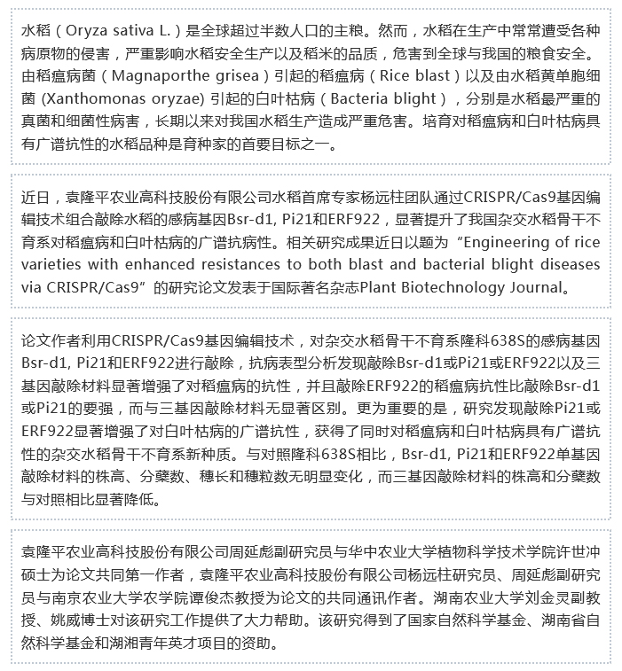 湖南興隆種業(yè)有限公司,長沙稻谷種植與銷售,長沙農(nóng)作物品種的選育,長沙農(nóng)業(yè)病蟲害防治服務(wù)