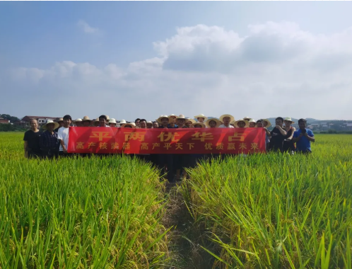 新興隆，新氣象，新未來——記平兩優(yōu)華占衡東觀摩預(yù)訂會(huì)