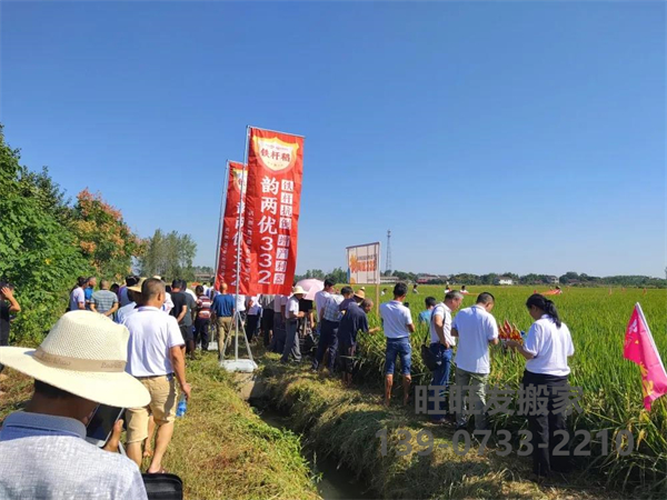 新興隆，新氣象，新未來——記興隆湖南韻兩優(yōu)332省級(jí)觀摩會(huì)在常德漢壽圓滿召開