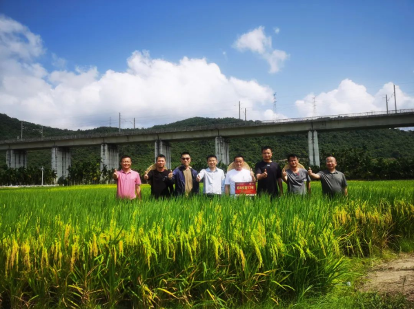  隆平好糧團隊與湖南鼎城客戶考察興隆種業(yè)南繁科研基地
