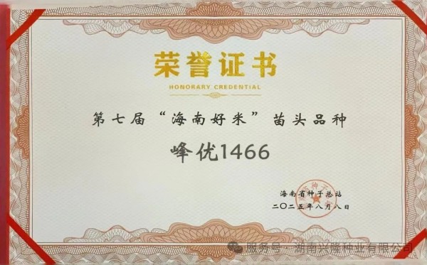 高端優(yōu)質(zhì)稻品種丨“峰優(yōu)1466”榮獲第七屆“海南好米”苗頭品種