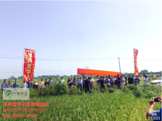 湖南興隆種業(yè)有限公司,長(zhǎng)沙稻谷種植與銷售,長(zhǎng)沙農(nóng)作物品種的選育,長(zhǎng)沙農(nóng)業(yè)病蟲害防治服務(wù)