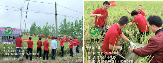 湖南興隆種業(yè)有限公司,長(zhǎng)沙稻谷種植與銷售,長(zhǎng)沙農(nóng)作物品種的選育,長(zhǎng)沙農(nóng)業(yè)病蟲害防治服務(wù)