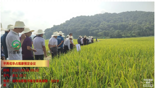 湖南興隆種業(yè)有限公司,長(zhǎng)沙稻谷種植與銷售,長(zhǎng)沙農(nóng)作物品種的選育,長(zhǎng)沙農(nóng)業(yè)病蟲(chóng)害防治服務(wù)