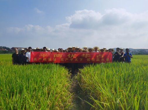 湖南興隆種業(yè)有限公司,長(zhǎng)沙稻谷種植與銷售,長(zhǎng)沙農(nóng)作物品種的選育,長(zhǎng)沙農(nóng)業(yè)病蟲(chóng)害防治服務(wù)