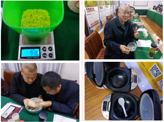 湖南興隆種業(yè)有限公司,長(zhǎng)沙稻谷種植與銷售,長(zhǎng)沙農(nóng)作物品種的選育,長(zhǎng)沙農(nóng)業(yè)病蟲害防治服務(wù) 湖南興隆種業(yè)有限公司,長(zhǎng)沙稻谷種植與銷售,長(zhǎng)沙農(nóng)作物品種的選育,長(zhǎng)沙農(nóng)業(yè)病蟲害防治服務(wù)