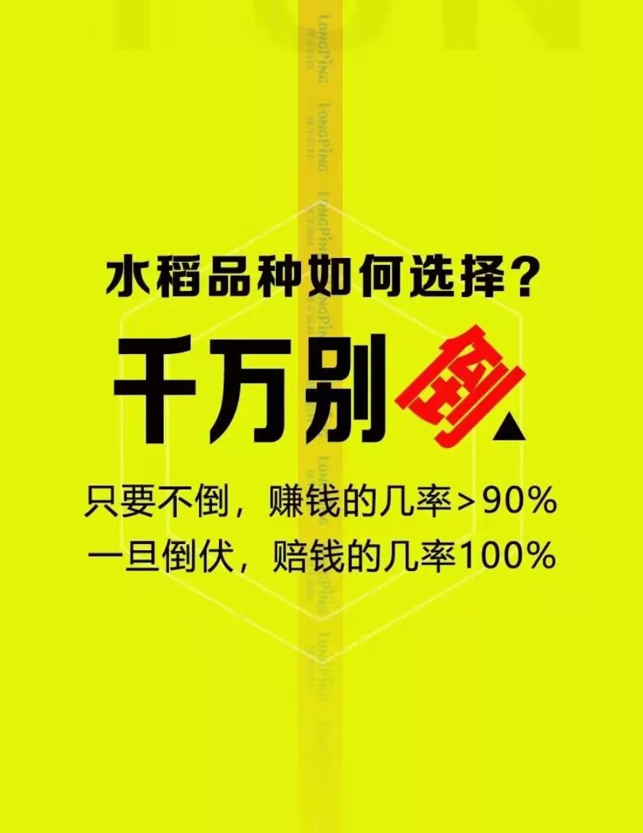 湖南興隆種業(yè)有限公司,長沙稻谷種植與銷售,長沙農(nóng)作物品種的選育,長沙農(nóng)業(yè)病蟲害防治服務(wù)