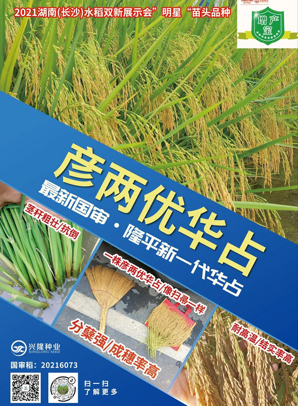 湖南興隆種業(yè)有限公司,長(zhǎng)沙稻谷種植與銷售,長(zhǎng)沙農(nóng)作物品種的選育,長(zhǎng)沙農(nóng)業(yè)病蟲害防治服務(wù)