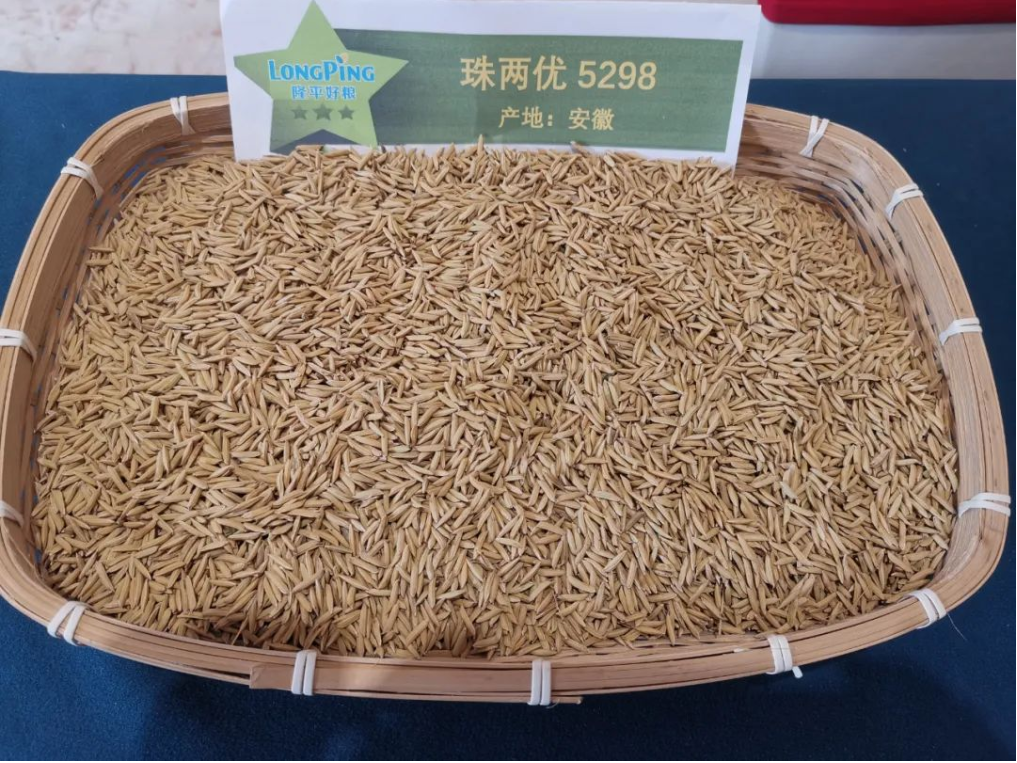 湖南興隆種業(yè)有限公司,長沙稻谷種植與銷售,長沙農(nóng)作物品種的選育,長沙農(nóng)業(yè)病蟲害防治服務(wù)