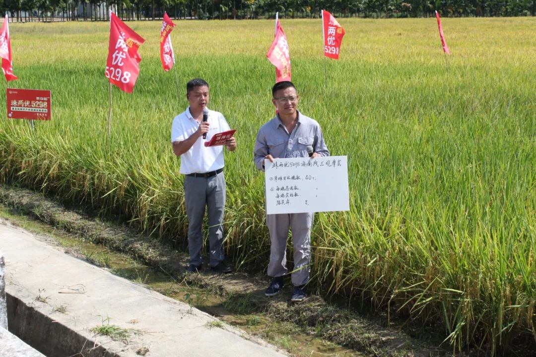 湖南興隆種業(yè)有限公司,長沙稻谷種植與銷售,長沙農作物品種的選育,長沙農業(yè)病蟲害防治服務