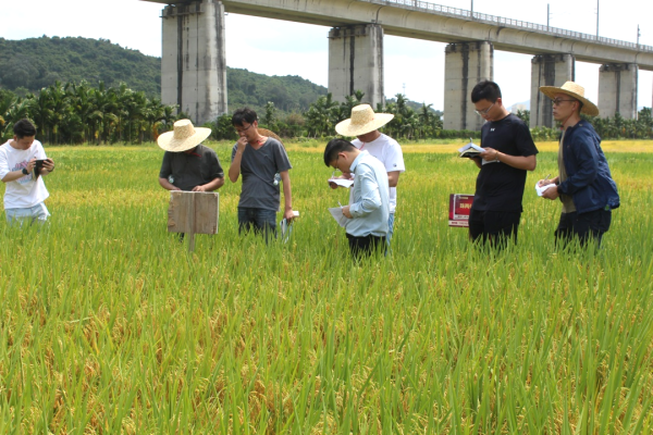 湖南興隆種業(yè)有限公司,長沙稻谷種植與銷售,長沙農(nóng)作物品種的選育,長沙農(nóng)業(yè)病蟲害防治服務(wù)