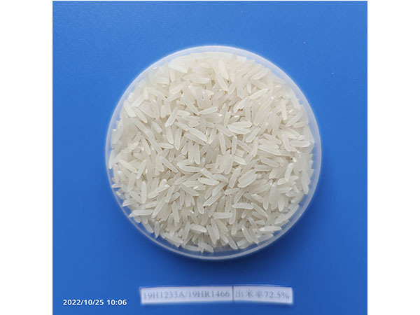 湖南興隆種業(yè)有限公司,長(zhǎng)沙稻谷種植與銷售,長(zhǎng)沙農(nóng)作物品種的選育,長(zhǎng)沙農(nóng)業(yè)病蟲害防治服務(wù)