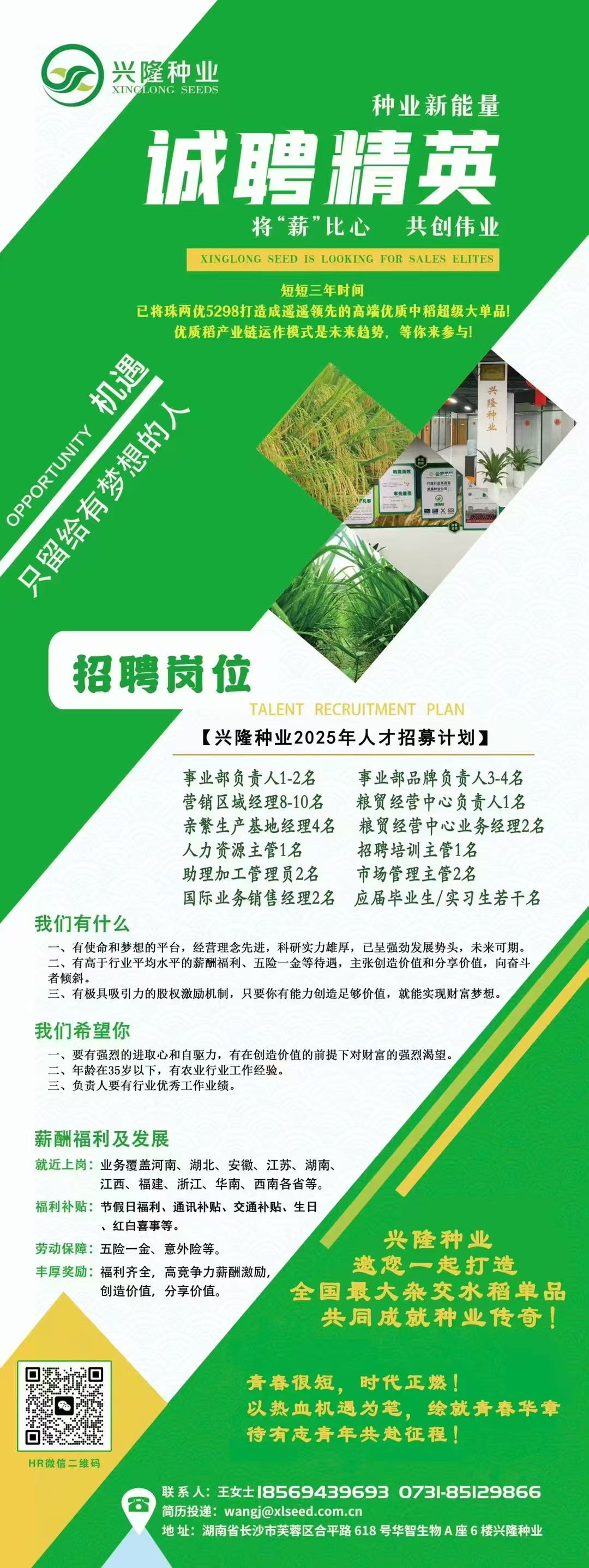 湖南興隆種業(yè)有限公司,長(zhǎng)沙稻谷種植與銷售,長(zhǎng)沙農(nóng)作物品種的選育,長(zhǎng)沙農(nóng)業(yè)病蟲(chóng)害防治服務(wù)